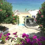 아파트 Achladies Beach Apartment